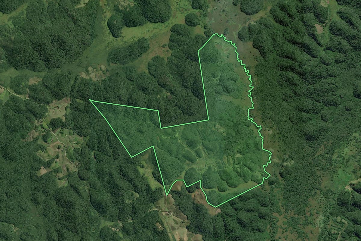Imagem de satélite do imóvel rural em Sete Barras (SP), com o contorno declarado no CAR desenhado por cima.