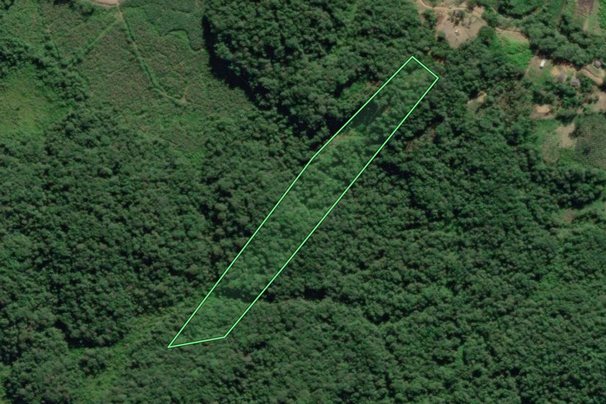 Imagem de satélite do imóvel rural em Sete Barras (SP), com o contorno declarado no CAR desenhado por cima.