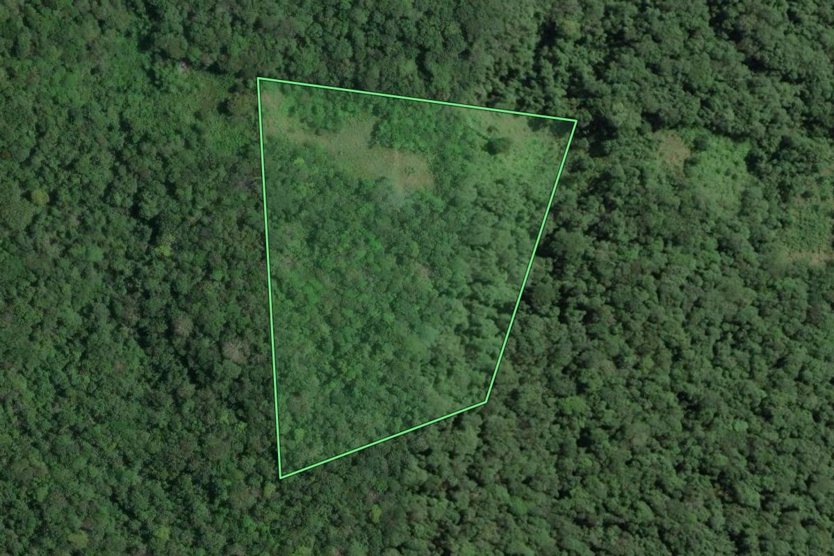 Imagem de satélite do imóvel rural em Sete Barras (SP), com o contorno declarado no CAR desenhado por cima.