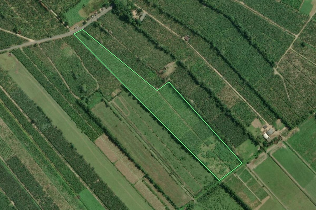 Imagem de satélite do imóvel rural em Sete Barras (SP), com o contorno declarado no CAR desenhado por cima.