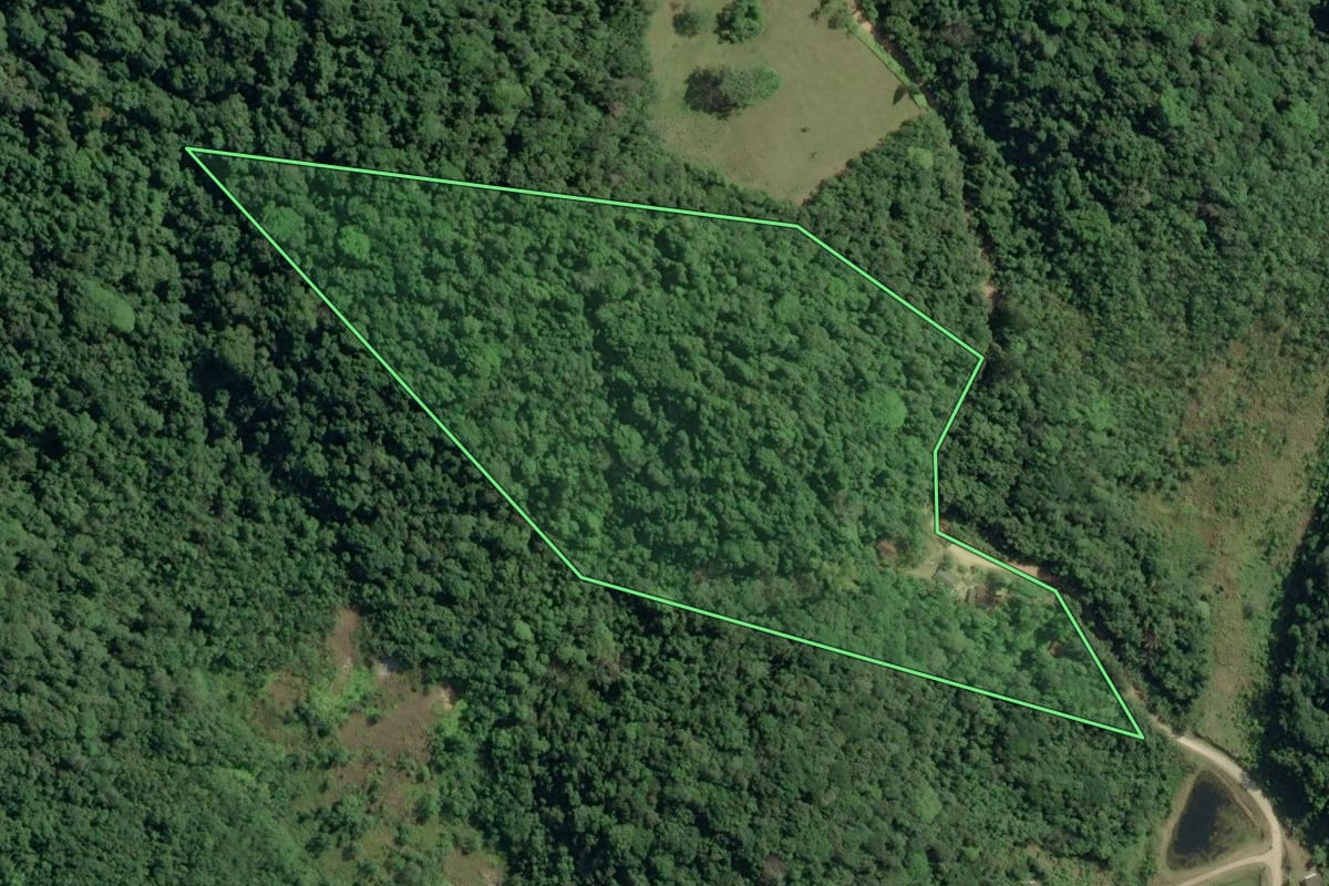 Imagem de satélite do imóvel rural em Sete Barras (SP), com o contorno declarado no CAR desenhado por cima.