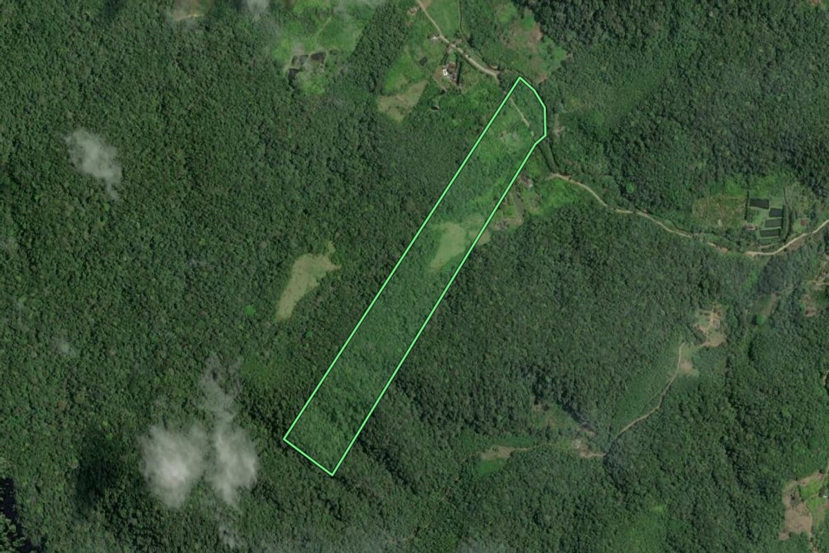 Imagem de satélite do imóvel rural em Sete Barras (SP), com o contorno declarado no CAR desenhado por cima.