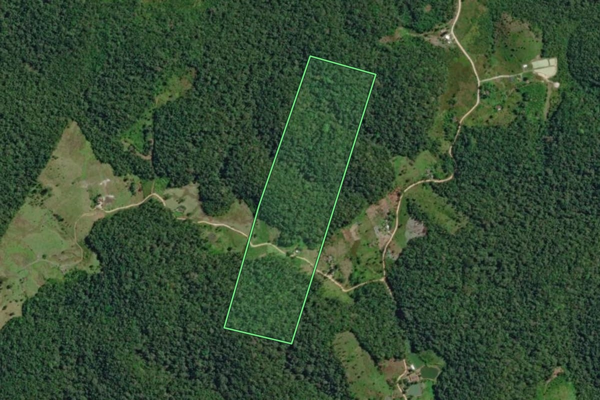 Imagem de satélite do imóvel rural em Sete Barras (SP), com o contorno declarado no CAR desenhado por cima.