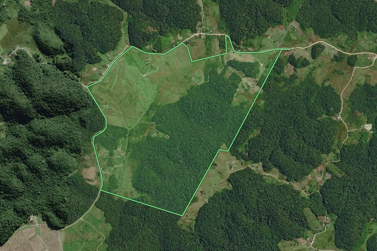 Imagem de satélite do imóvel rural em Sete Barras (SP), com o contorno declarado no CAR desenhado por cima.