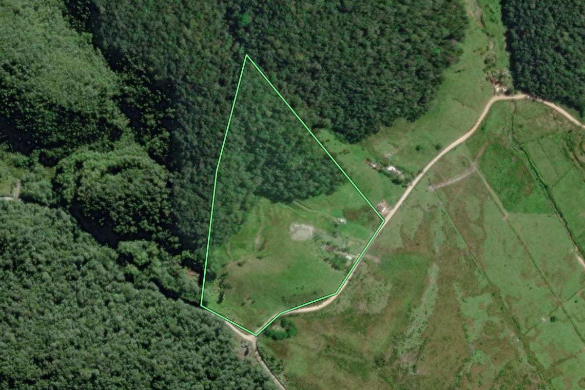 Imagem de satélite do imóvel rural em Sete Barras (SP), com o contorno declarado no CAR desenhado por cima.