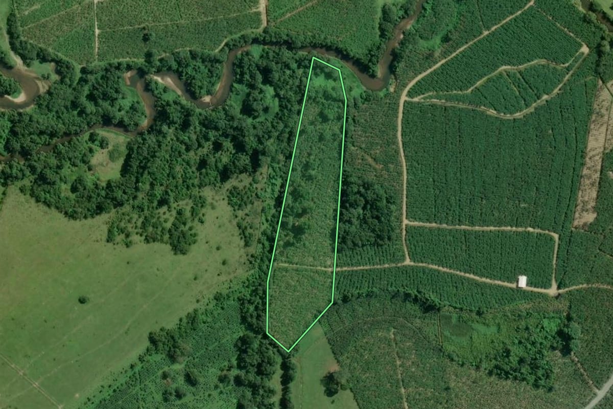 Imagem de satélite do imóvel rural em Sete Barras (SP), com o contorno declarado no CAR desenhado por cima.