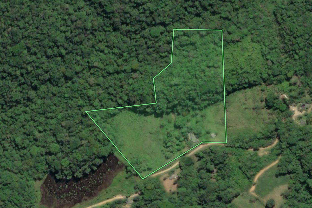 Imagem de satélite do imóvel rural em Sete Barras (SP), com o contorno declarado no CAR desenhado por cima.