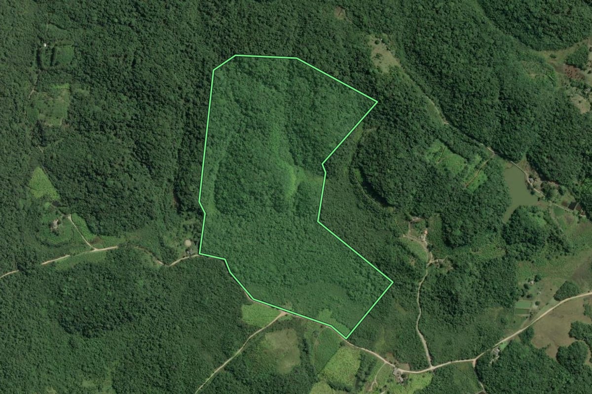 Imagem de satélite do imóvel rural em Sete Barras (SP), com o contorno declarado no CAR desenhado por cima.