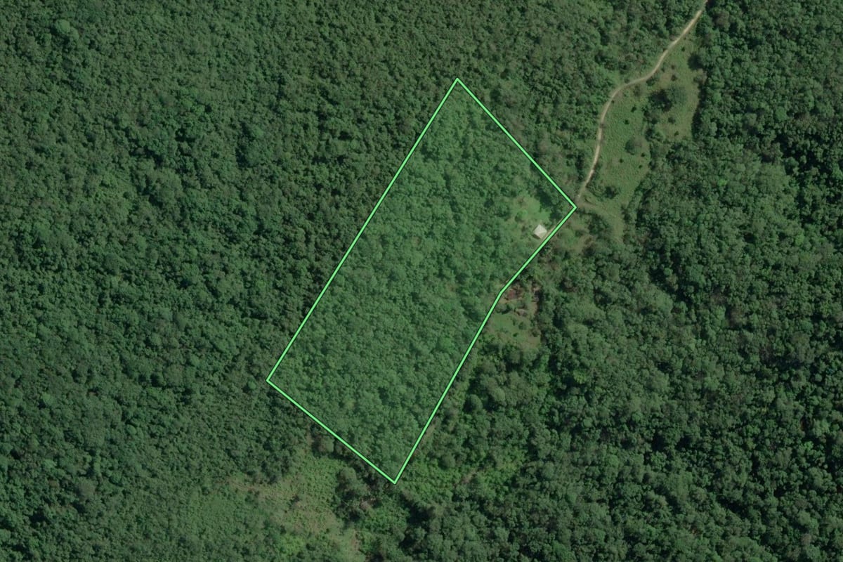 Imagem de satélite do imóvel rural em Sete Barras (SP), com o contorno declarado no CAR desenhado por cima.