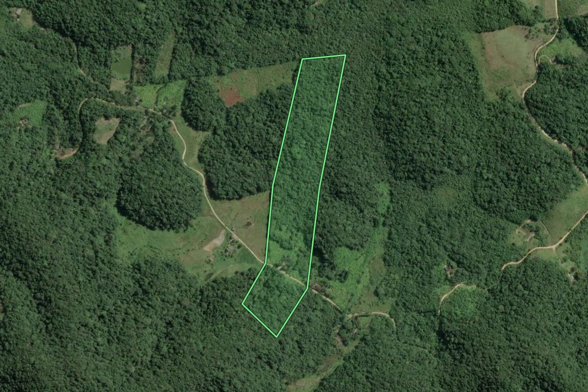 Imagem de satélite do imóvel rural em Sete Barras (SP), com o contorno declarado no CAR desenhado por cima.