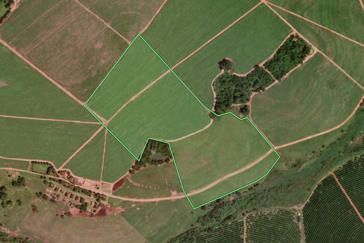 Imagem de satélite do imóvel rural em Severínia (SP), com o contorno declarado no CAR desenhado por cima.