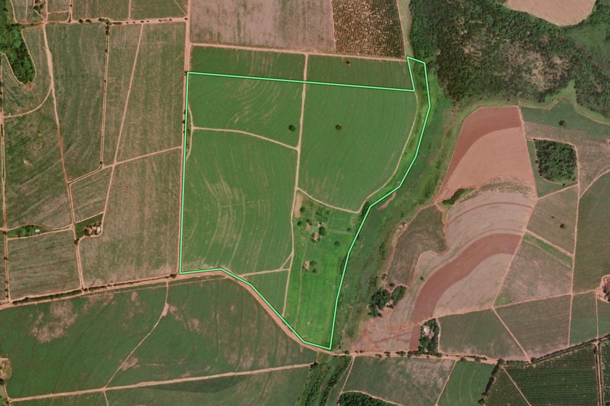 Imagem de satélite do imóvel rural em Severínia (SP), com o contorno declarado no CAR desenhado por cima.