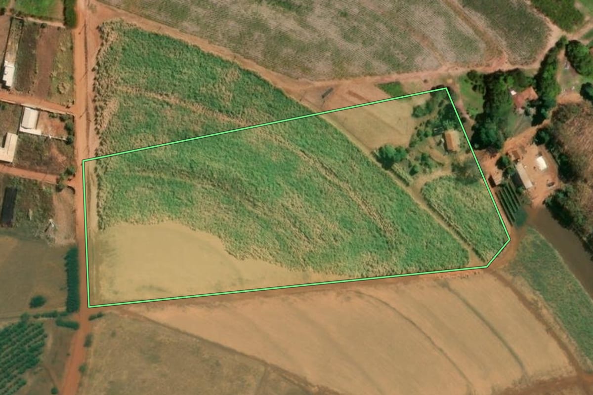 Imagem de satélite do imóvel rural em Severínia (SP), com o contorno declarado no CAR desenhado por cima.