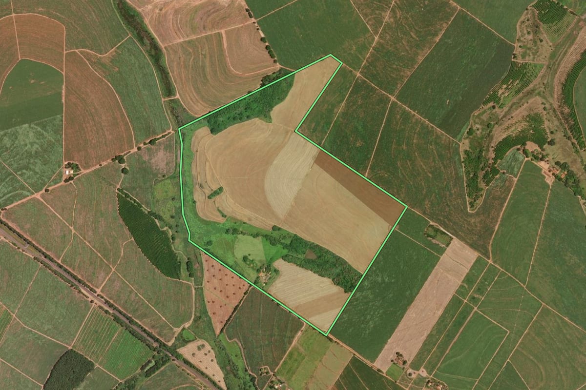 Imagem de satélite do imóvel rural em Severínia (SP), com o contorno declarado no CAR desenhado por cima.