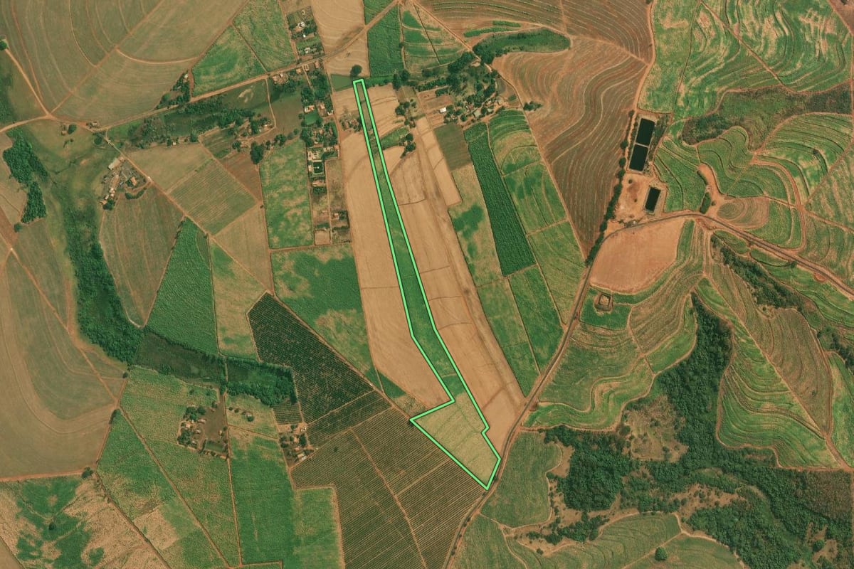 Imagem de satélite do imóvel rural em Severínia (SP), com o contorno declarado no CAR desenhado por cima.