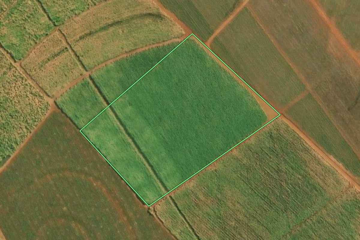 Imagem de satélite do imóvel rural em Severínia (SP), com o contorno declarado no CAR desenhado por cima.