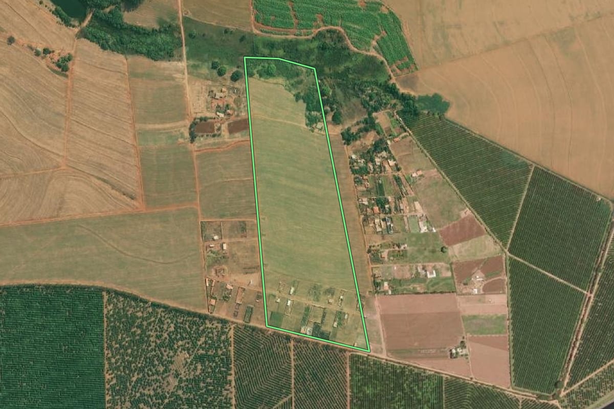 Imagem de satélite do imóvel rural em Severínia (SP), com o contorno declarado no CAR desenhado por cima.