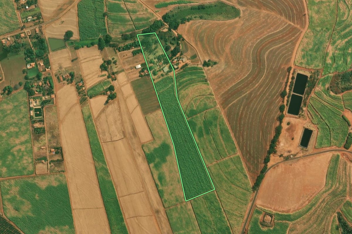 Imagem de satélite do imóvel rural em Severínia (SP), com o contorno declarado no CAR desenhado por cima.