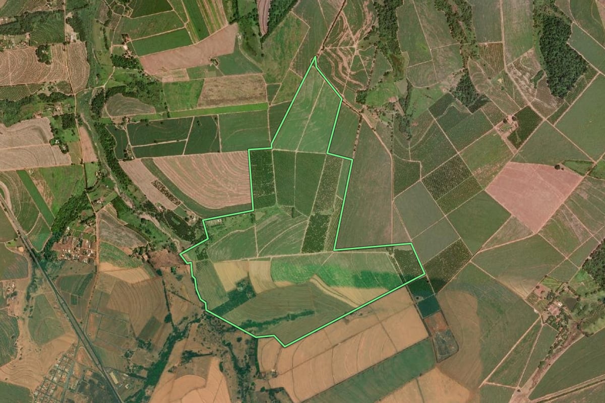 Imagem de satélite do imóvel rural em Severínia (SP), com o contorno declarado no CAR desenhado por cima.