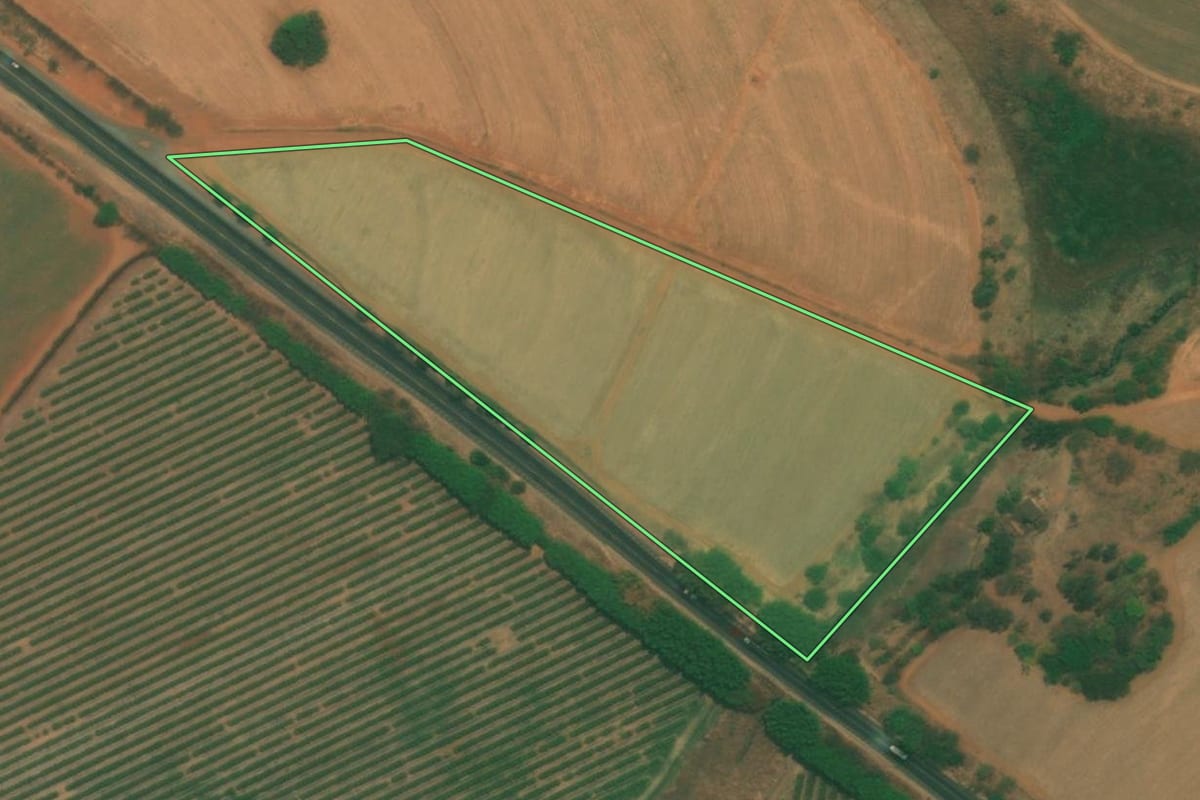 Imagem de satélite do imóvel rural em Severínia (SP), com o contorno declarado no CAR desenhado por cima.