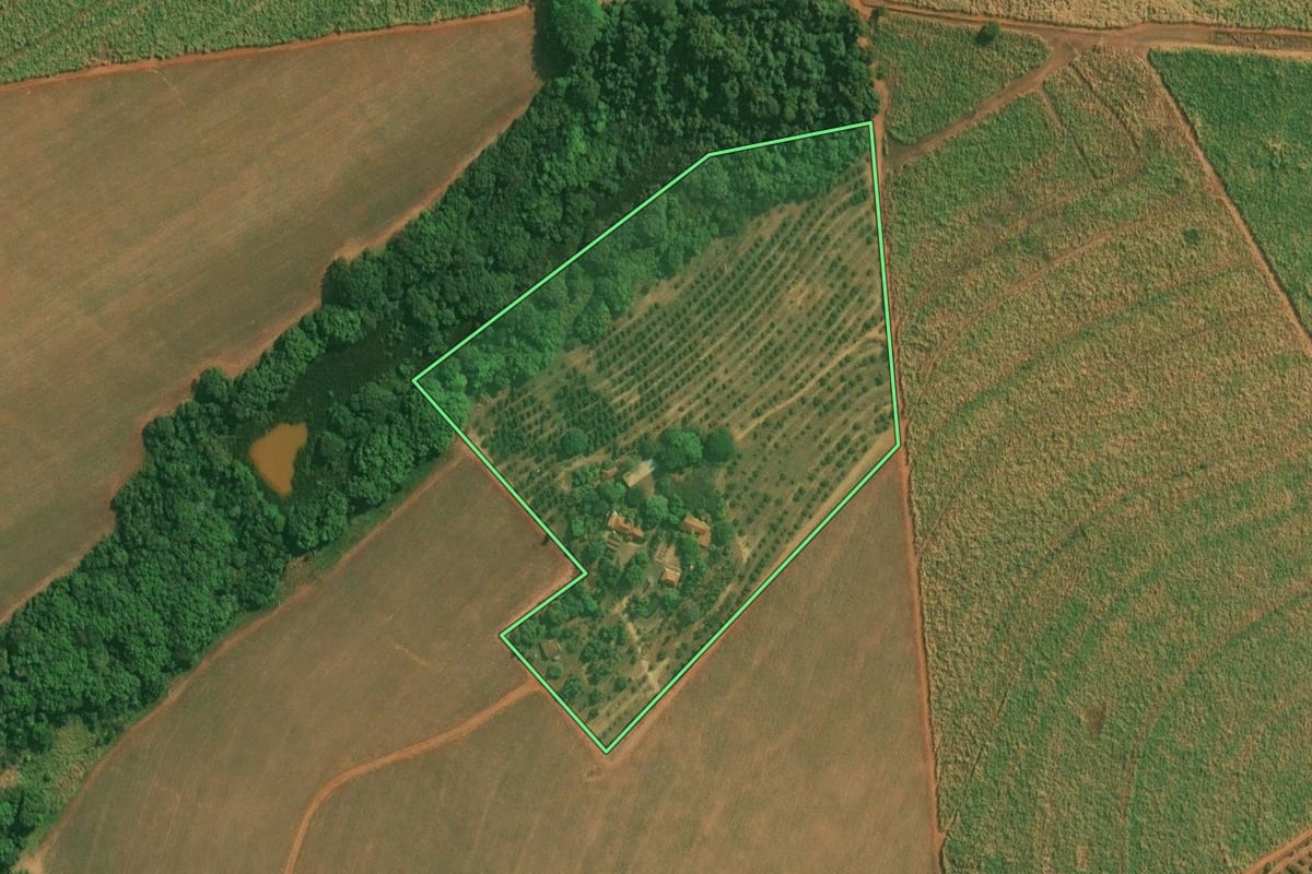 Imagem de satélite do imóvel rural em Severínia (SP), com o contorno declarado no CAR desenhado por cima.