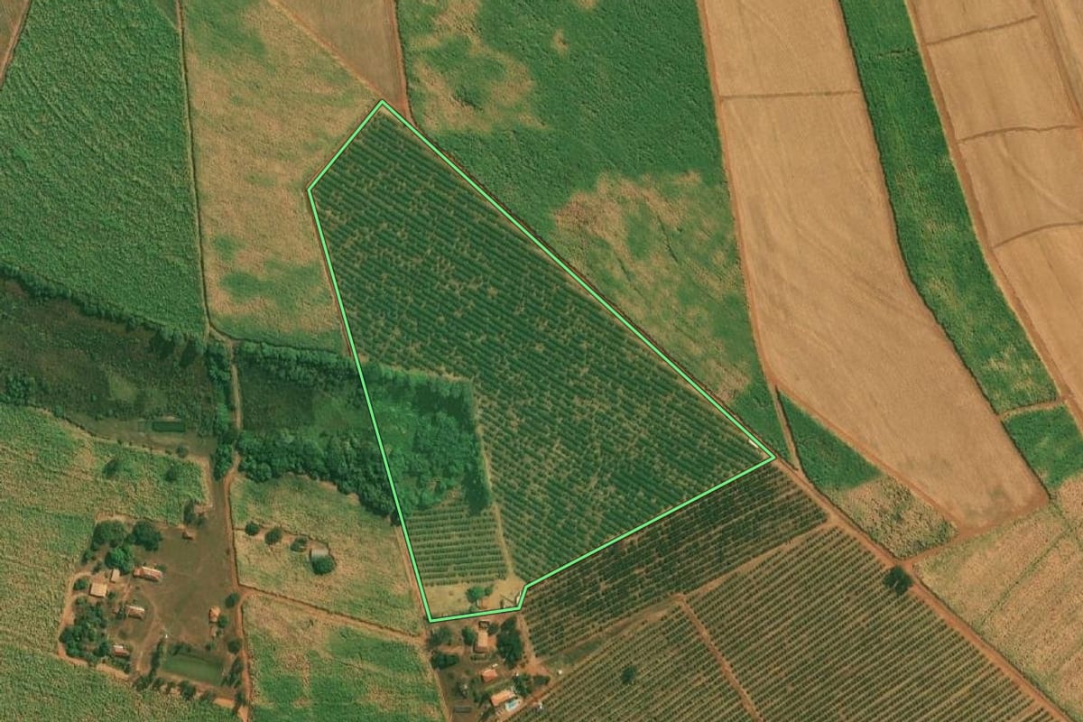 Imagem de satélite do imóvel rural em Severínia (SP), com o contorno declarado no CAR desenhado por cima.