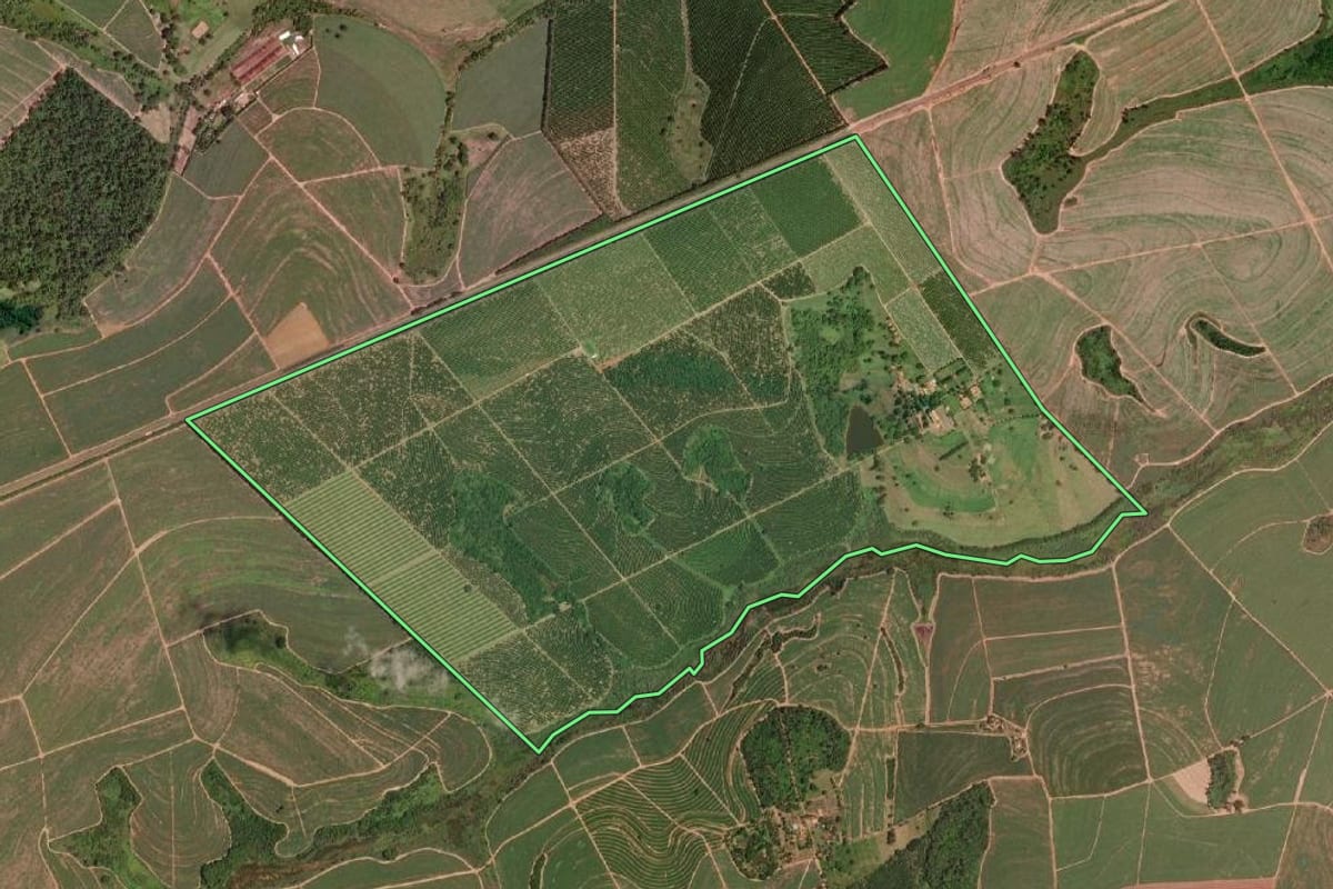 Imagem de satélite do imóvel rural em Severínia (SP), com o contorno declarado no CAR desenhado por cima.