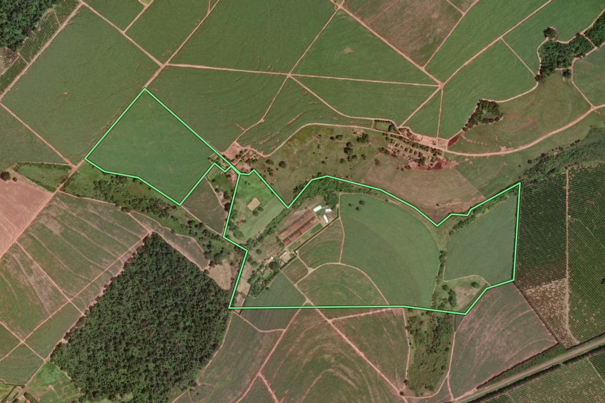 Imagem de satélite do imóvel rural em Severínia (SP), com o contorno declarado no CAR desenhado por cima.