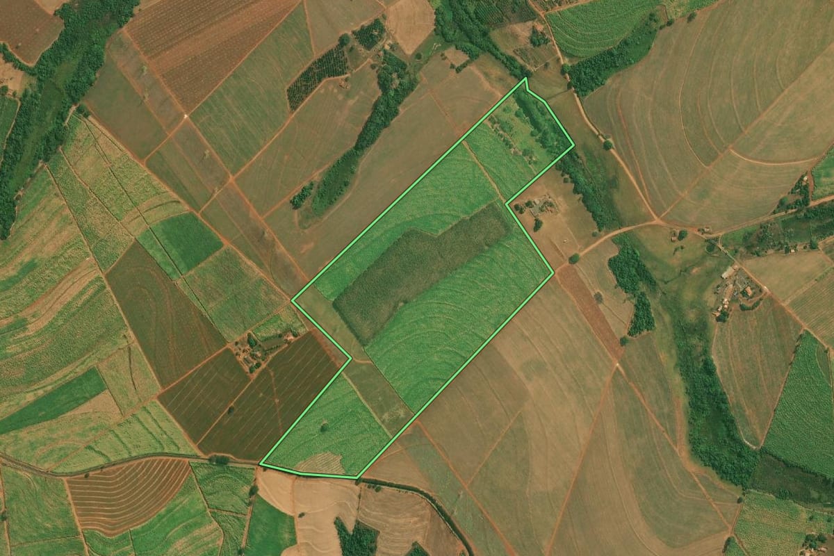 Imagem de satélite do imóvel rural em Severínia (SP), com o contorno declarado no CAR desenhado por cima.