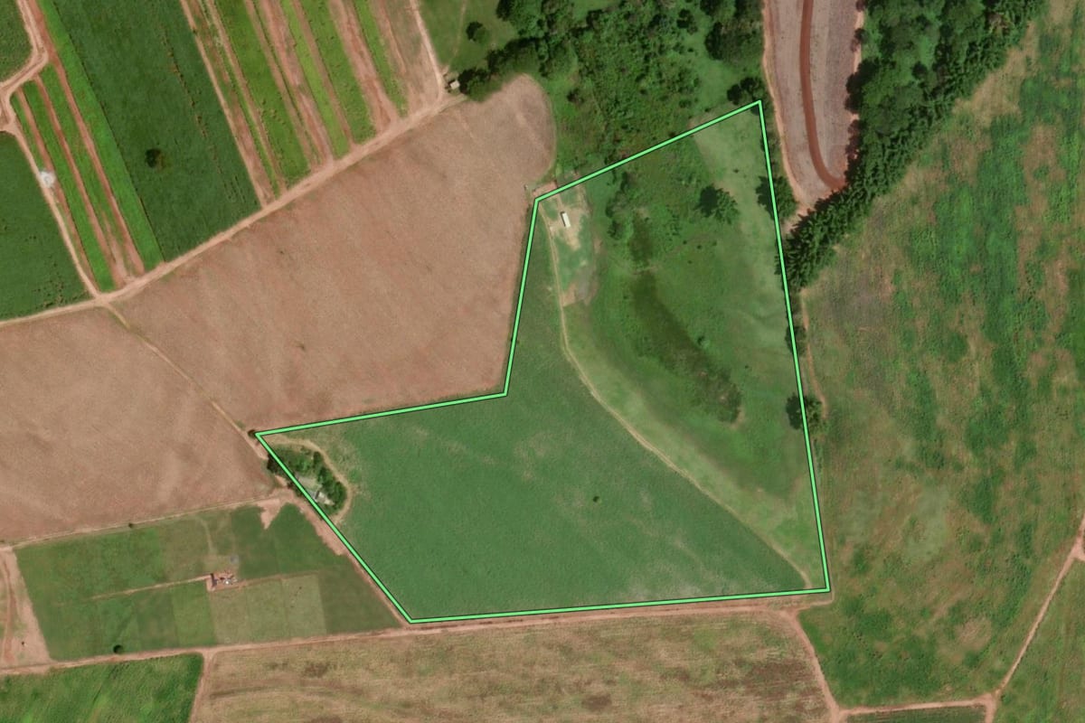 Imagem de satélite do imóvel rural em Severínia (SP), com o contorno declarado no CAR desenhado por cima.
