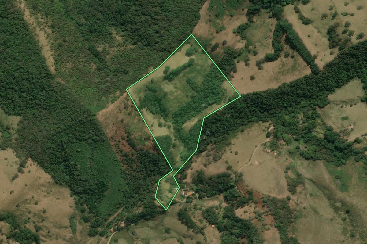 Imagem de satélite do imóvel rural em Silveiras (SP), com o contorno declarado no CAR desenhado por cima.