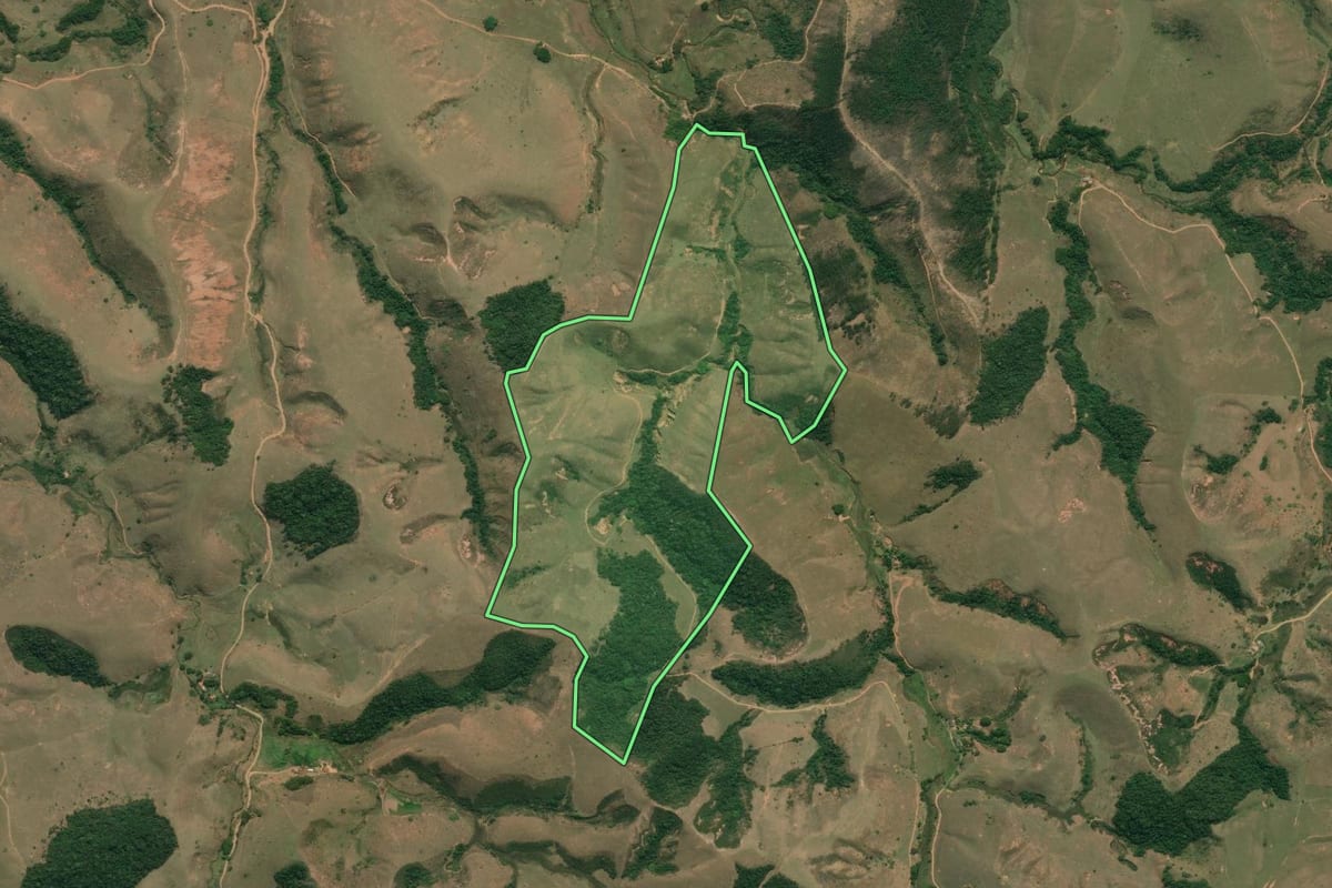 Imagem de satélite do imóvel rural em Silveiras (SP), com o contorno declarado no CAR desenhado por cima.