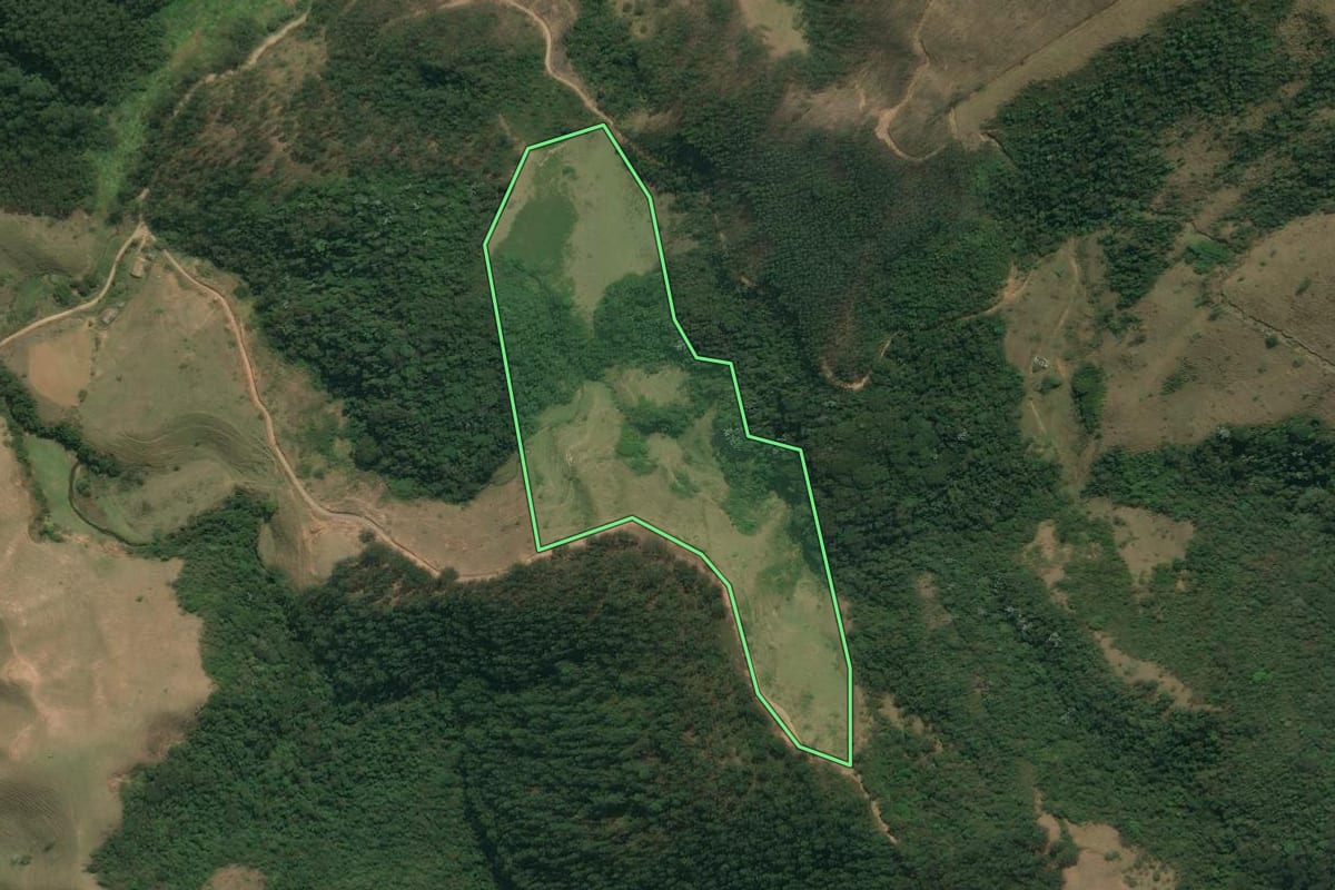 Imagem de satélite do imóvel rural em Silveiras (SP), com o contorno declarado no CAR desenhado por cima.