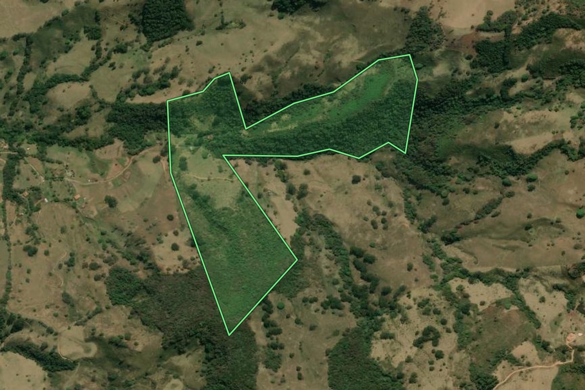 Imagem de satélite do imóvel rural em Silveiras (SP), com o contorno declarado no CAR desenhado por cima.