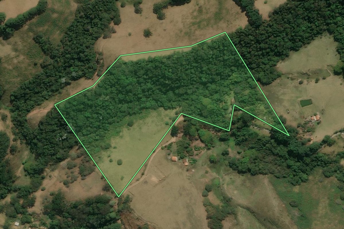Imagem de satélite do imóvel rural em Silveiras (SP), com o contorno declarado no CAR desenhado por cima.