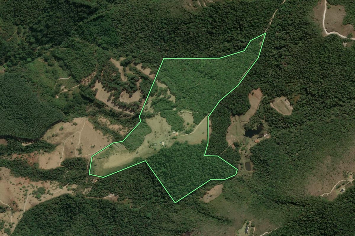 Imagem de satélite do imóvel rural em Silveiras (SP), com o contorno declarado no CAR desenhado por cima.