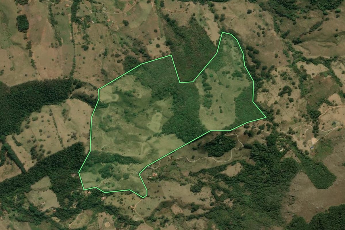 Imagem de satélite do imóvel rural em Silveiras (SP), com o contorno declarado no CAR desenhado por cima.