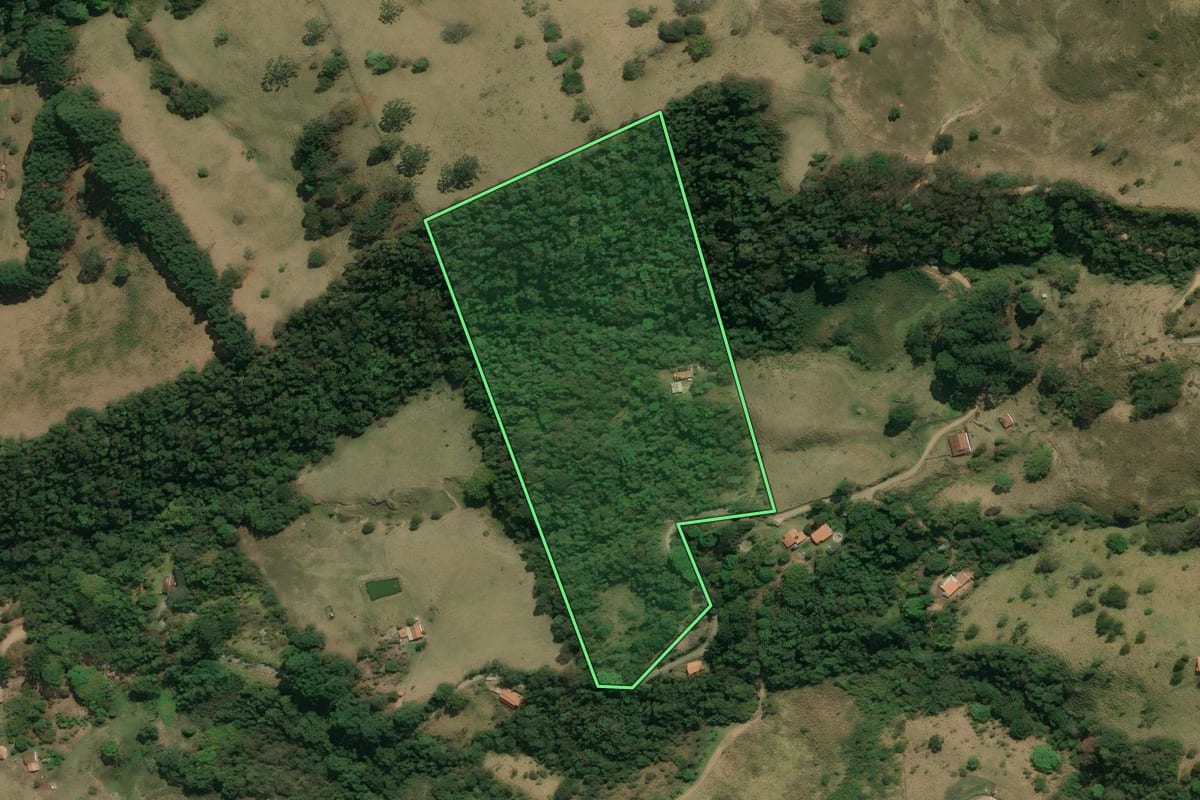 Imagem de satélite do imóvel rural em Silveiras (SP), com o contorno declarado no CAR desenhado por cima.