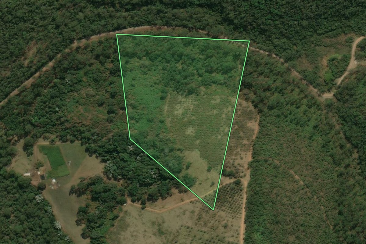Imagem de satélite do imóvel rural em Silveiras (SP), com o contorno declarado no CAR desenhado por cima.