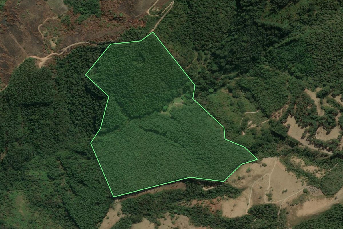 Imagem de satélite do imóvel rural em Silveiras (SP), com o contorno declarado no CAR desenhado por cima.