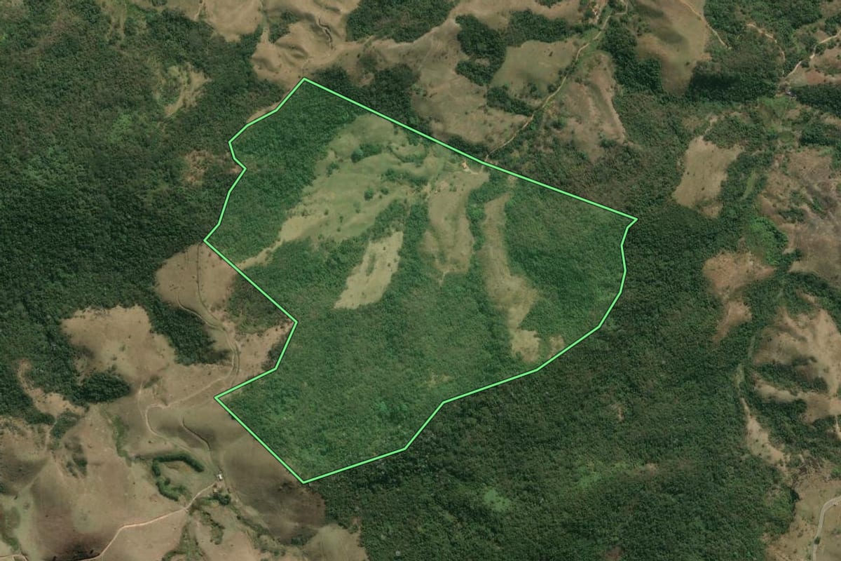 Imagem de satélite do imóvel rural em Silveiras (SP), com o contorno declarado no CAR desenhado por cima.