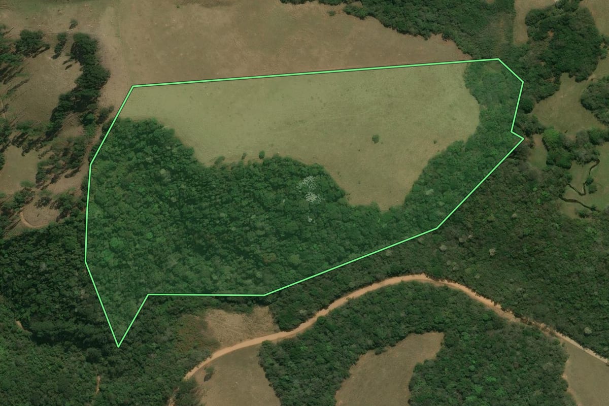 Imagem de satélite do imóvel rural em Silveiras (SP), com o contorno declarado no CAR desenhado por cima.