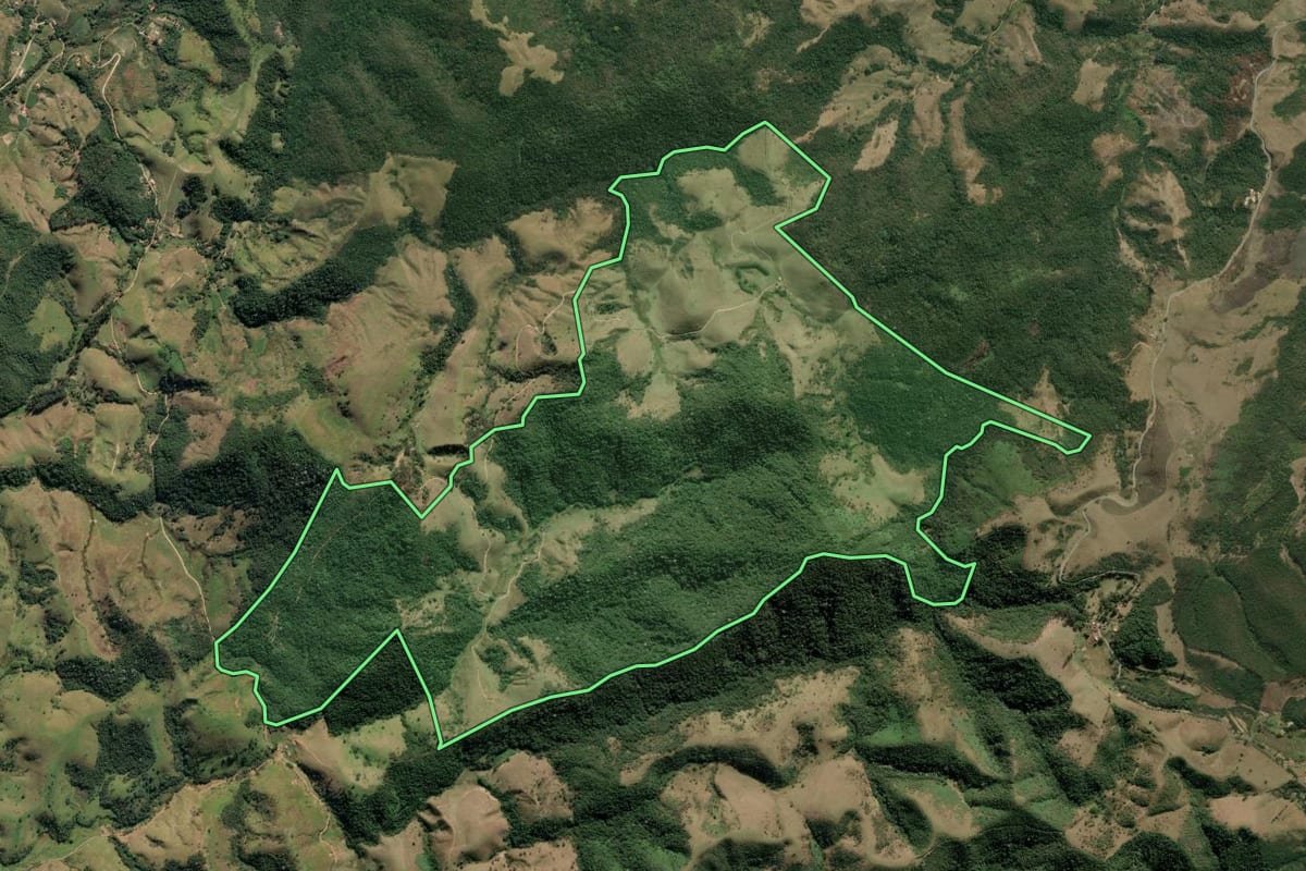 Imagem de satélite do imóvel rural em Silveiras (SP), com o contorno declarado no CAR desenhado por cima.