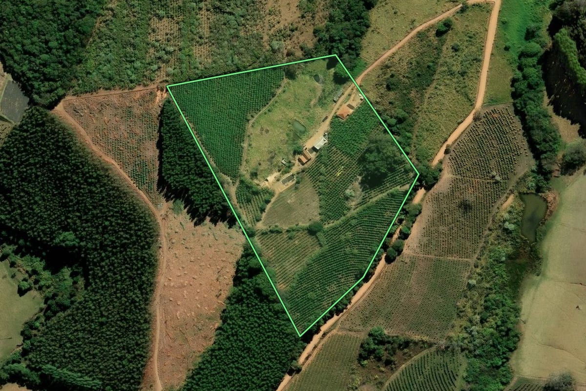 Imagem de satélite do imóvel rural em Socorro (SP), com o contorno declarado no CAR desenhado por cima.