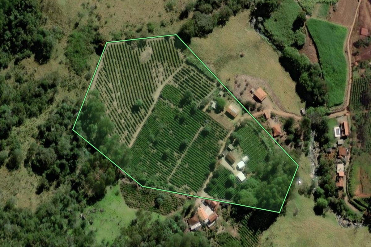 Imagem de satélite do imóvel rural em Socorro (SP), com o contorno declarado no CAR desenhado por cima.