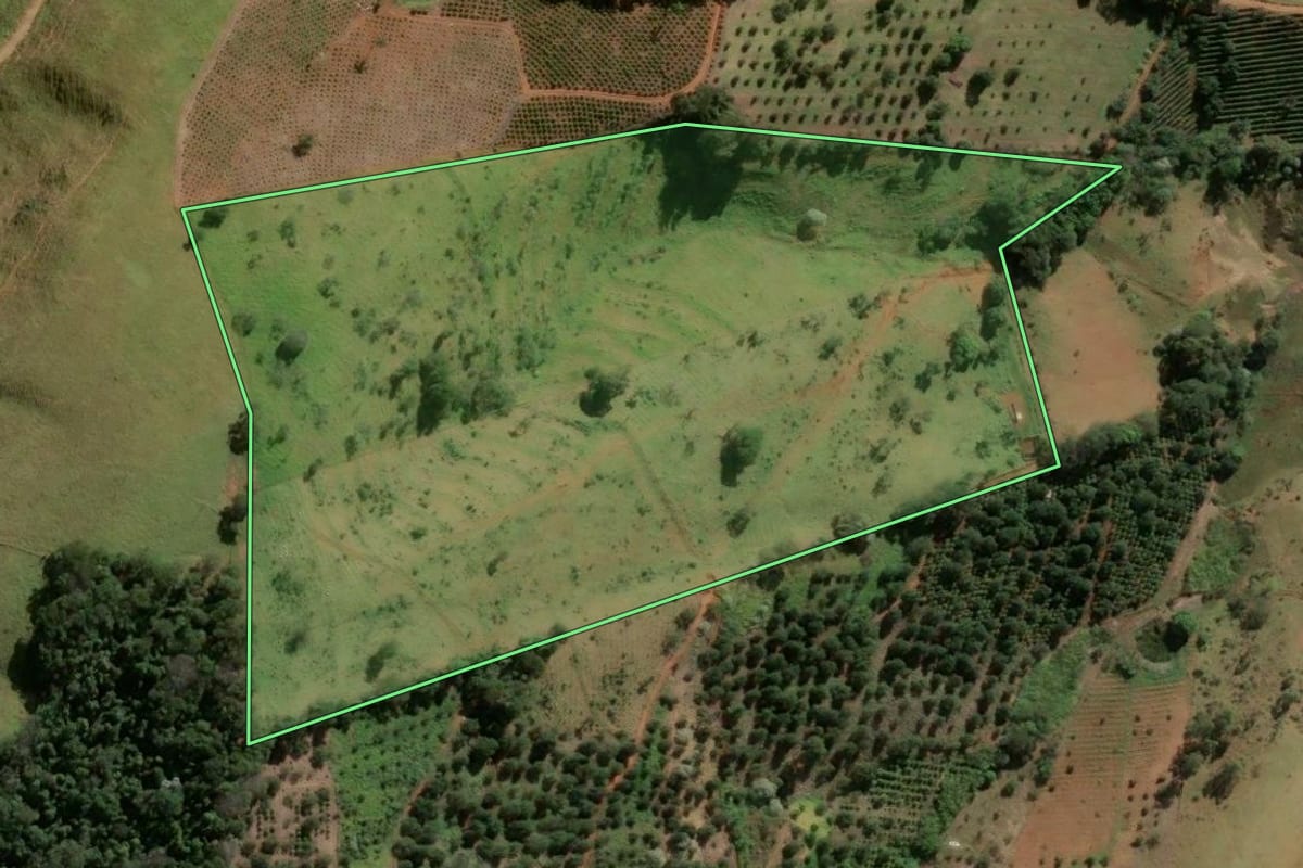 Imagem de satélite do imóvel rural em Socorro (SP), com o contorno declarado no CAR desenhado por cima.