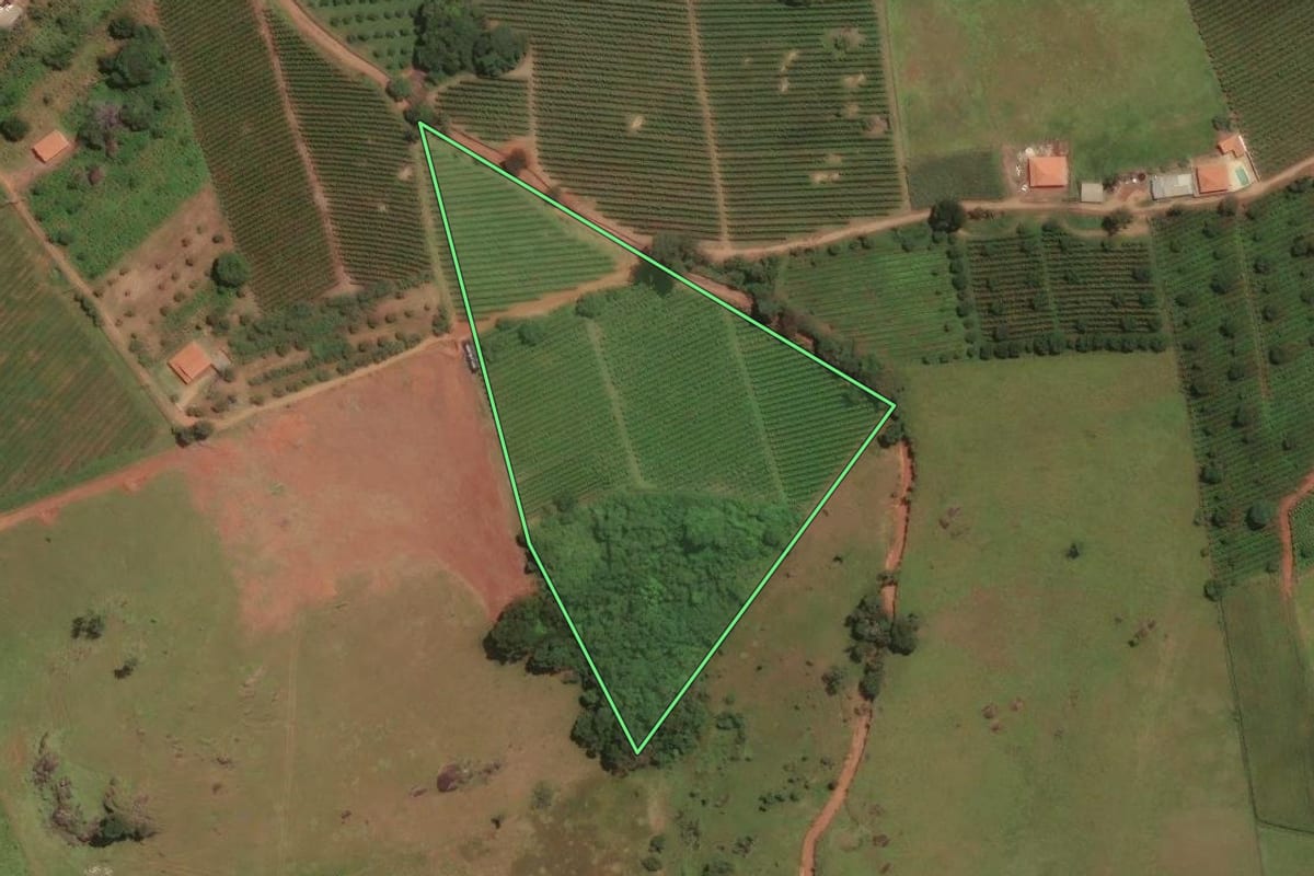 Imagem de satélite do imóvel rural em Socorro (SP), com o contorno declarado no CAR desenhado por cima.