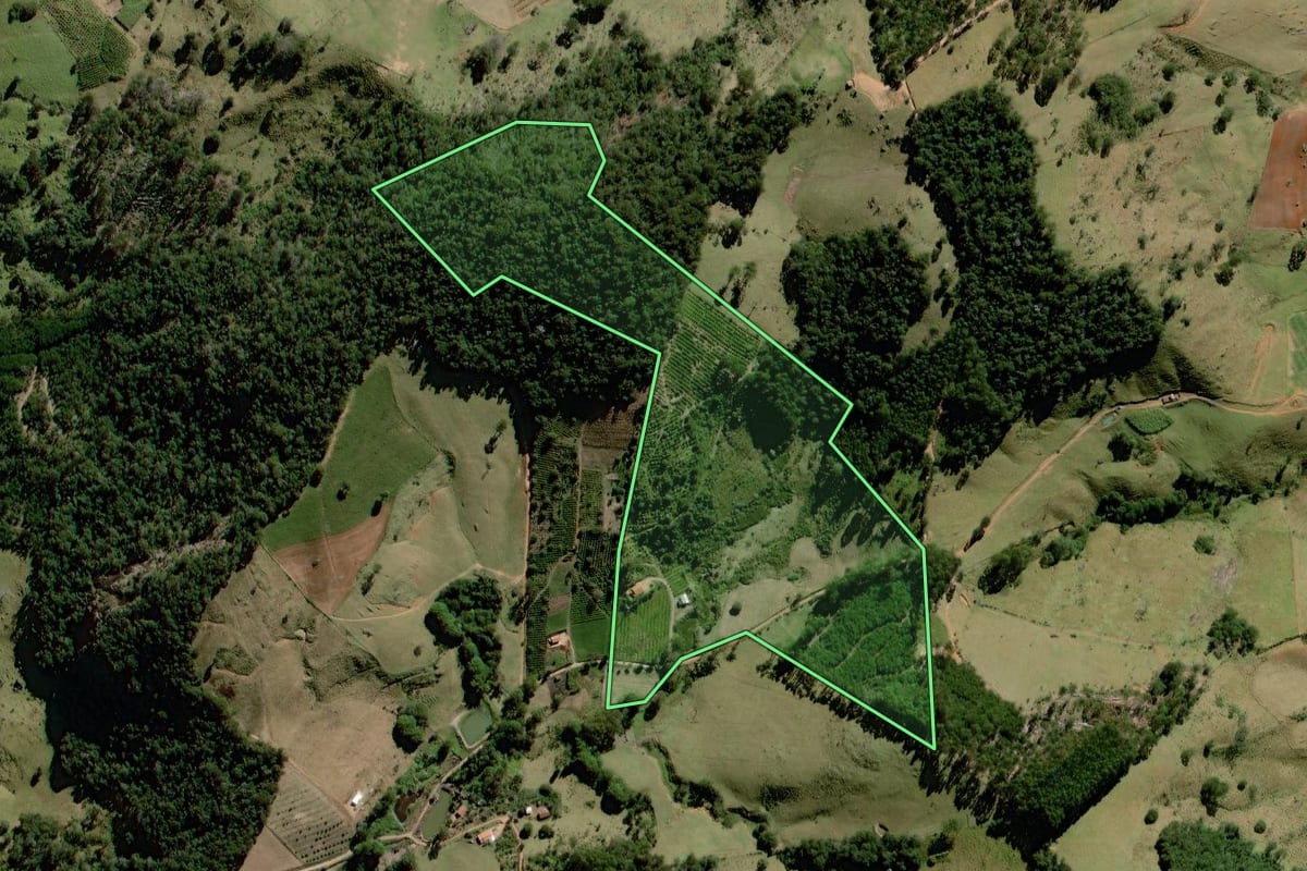 Imagem de satélite do imóvel rural em Socorro (SP), com o contorno declarado no CAR desenhado por cima.