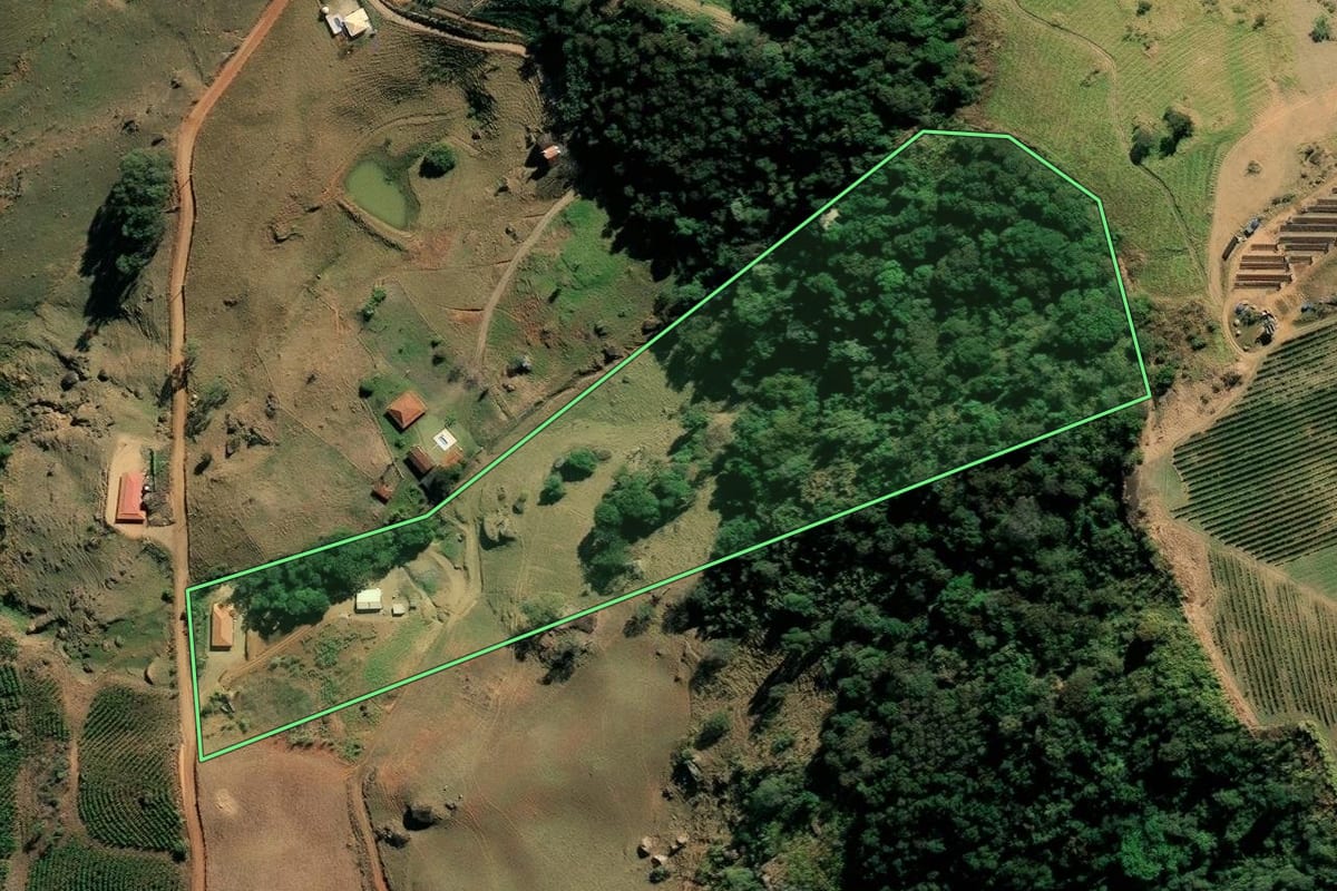 Imagem de satélite do imóvel rural em Socorro (SP), com o contorno declarado no CAR desenhado por cima.