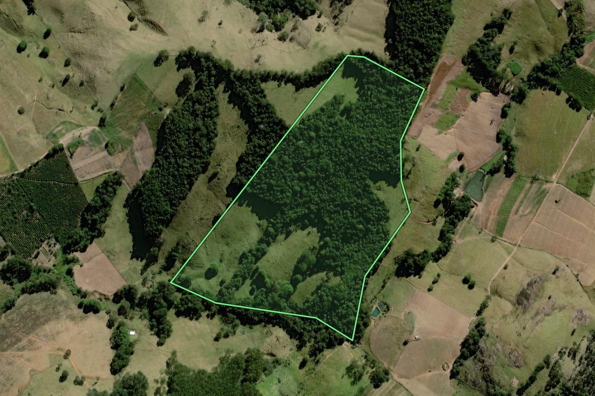 Imagem de satélite do imóvel rural em Socorro (SP), com o contorno declarado no CAR desenhado por cima.